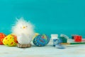 Easter baby chicken next to eggs on blue wooden background Royalty Free Stock Photo