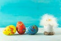 Easter baby chicken next to eggs on blue wooden background Royalty Free Stock Photo