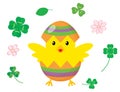 Easter chick with eggs and clover on a white background. Royalty Free Stock Photo