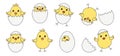 Easter baby chickens, cartoon eggs chick and shell isolated on white background. Vector Royalty Free Stock Photo