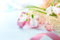 Easter background. Beautiful spring snowdrop flower with decorations Royalty Free Stock Photo