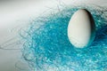 Easter background big white goose egg in decorative nest Royalty Free Stock Photo