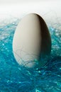 Easter background big white goose egg in decorative nest Royalty Free Stock Photo