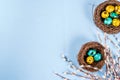 Easter background with bird`s nests and eggs Royalty Free Stock Photo