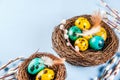 Easter background with bird`s nests and eggs Royalty Free Stock Photo