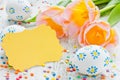 Easter background with blank postcard, tulips and colorful easter eggs