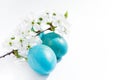 Easter background. Blue easter eggs and white spring flowers on a white background