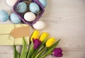 Easter background with blue and white eggs in nest and purple and yellow tulips Royalty Free Stock Photo