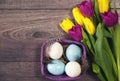 Easter background with blue and white eggs in nest and purple and yellow tulips Royalty Free Stock Photo