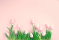 Easter background. Bright pink eggs and vivid spring blooming tulips and fresh grass over pink background