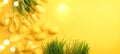 Easter background. Bright yellow eggs and bunch of spring blooming tulip flowers over yellow background