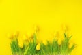 Easter background. Bright yellow eggs and vivid spring blooming tulips and fresh grass over yellow background