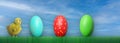 Easter background with chicken and eggs in the grass Royalty Free Stock Photo