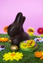 Easter background Royalty Free Stock Photo