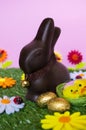 Easter background Royalty Free Stock Photo
