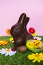 Easter background Royalty Free Stock Photo
