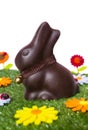 Easter background Royalty Free Stock Photo