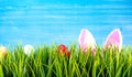 Easter background with colorful eggs, green grass and bunnie ears