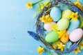Easter background with colorful eggs in nest, feather and spring flowers top view. Holiday card or banner Royalty Free Stock Photo