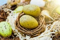 Easter background with colorful eggs in nest. Top view with copy space Royalty Free Stock Photo