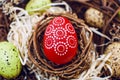 Easter background with colorful eggs in nest. Top view with copy space Royalty Free Stock Photo