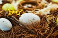 Easter background with colorful eggs in nest. Top view with copy space Royalty Free Stock Photo