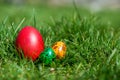 Easter background with colorful eggs over fresh green grass Royalty Free Stock Photo