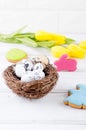 Easter background with colorful gingerbread cookies eggs and flowers