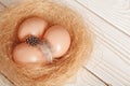 Easter background. Easter beige eggs and feather in nest on rustic white wooden background. Top view, copy space Royalty Free Stock Photo