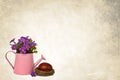 Easter background: Easter egg and primrose flowers arranged in watering bucket