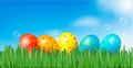 Easter background Easter eggs laying in grass Royalty Free Stock Photo