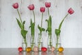 Easter Background with easter eggs and pink tulips in glass bottles on light wooden background Royalty Free Stock Photo