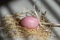 Easter pink egg in the hay, beautiful background with shadows