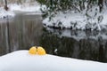 Easter background: Egg in the snowEggs in the snow at easter Royalty Free Stock Photo