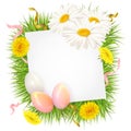 Easter background with eggs and daisies and dandelions Royalty Free Stock Photo