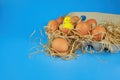 Easter background. Eggs and happy chicken in a basket on a straw on a blue background. Horizontal festive background