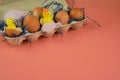 Easter background. Eggs and happy chickens in a basket on a blue straw on a pink background. Horizontal festive