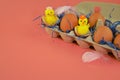 Easter background. Eggs and happy chickens in a basket on a blue straw on a pink background. Horizontal festive