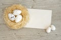 Easter background with eggs in nest and greeting card over white wood Royalty Free Stock Photo