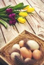 Easter background with eggs in nest and purple and yellow tulips Royalty Free Stock Photo