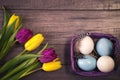 Easter background with eggs in nest and purple and yellow tulips Royalty Free Stock Photo