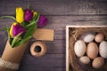 Easter background with eggs in nest and purple and yellow tulips Royalty Free Stock Photo