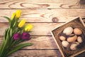 Easter background with eggs in nest and purple and yellow tulips Royalty Free Stock Photo