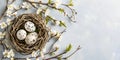 Easter background with eggs in nest and spring blossoms. Easter decoration Royalty Free Stock Photo
