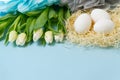 Easter background with eggs in nest and white tulips. Royalty Free Stock Photo
