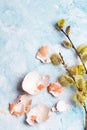 Easter background with eggs shells and catkin twigs,