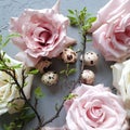 Easter background with Easter eggs and spring rose flowers, Quail eggs. Top view. Nest of flowers Royalty Free Stock Photo