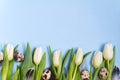 Easter background with eggs and white tulips flat lay Royalty Free Stock Photo