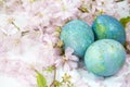 Easter background. Family traditional holidays. Painted eggs with flowering twigs on a light background. It`s spring.