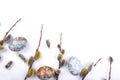 Easter background flat lay with branches pussy willows and colorful painted eggs on white Royalty Free Stock Photo